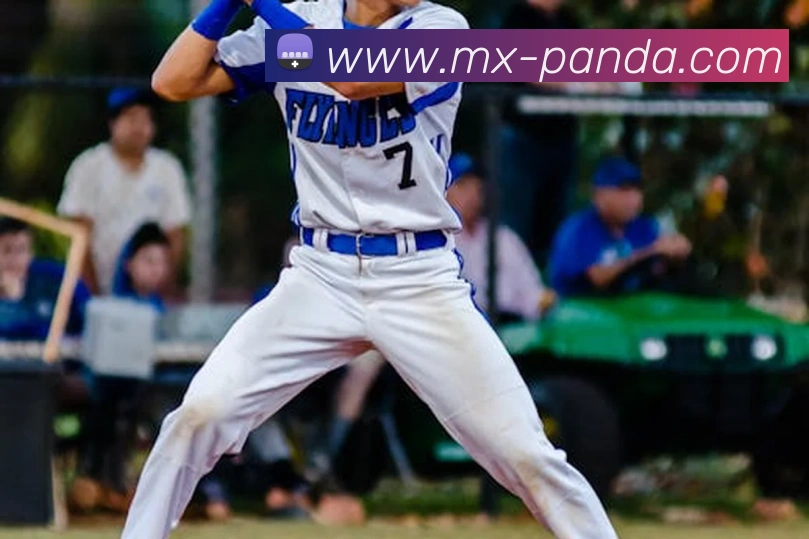 熊猫体育平台平台生态图