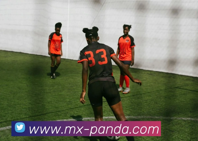 熊猫体育平台全站App